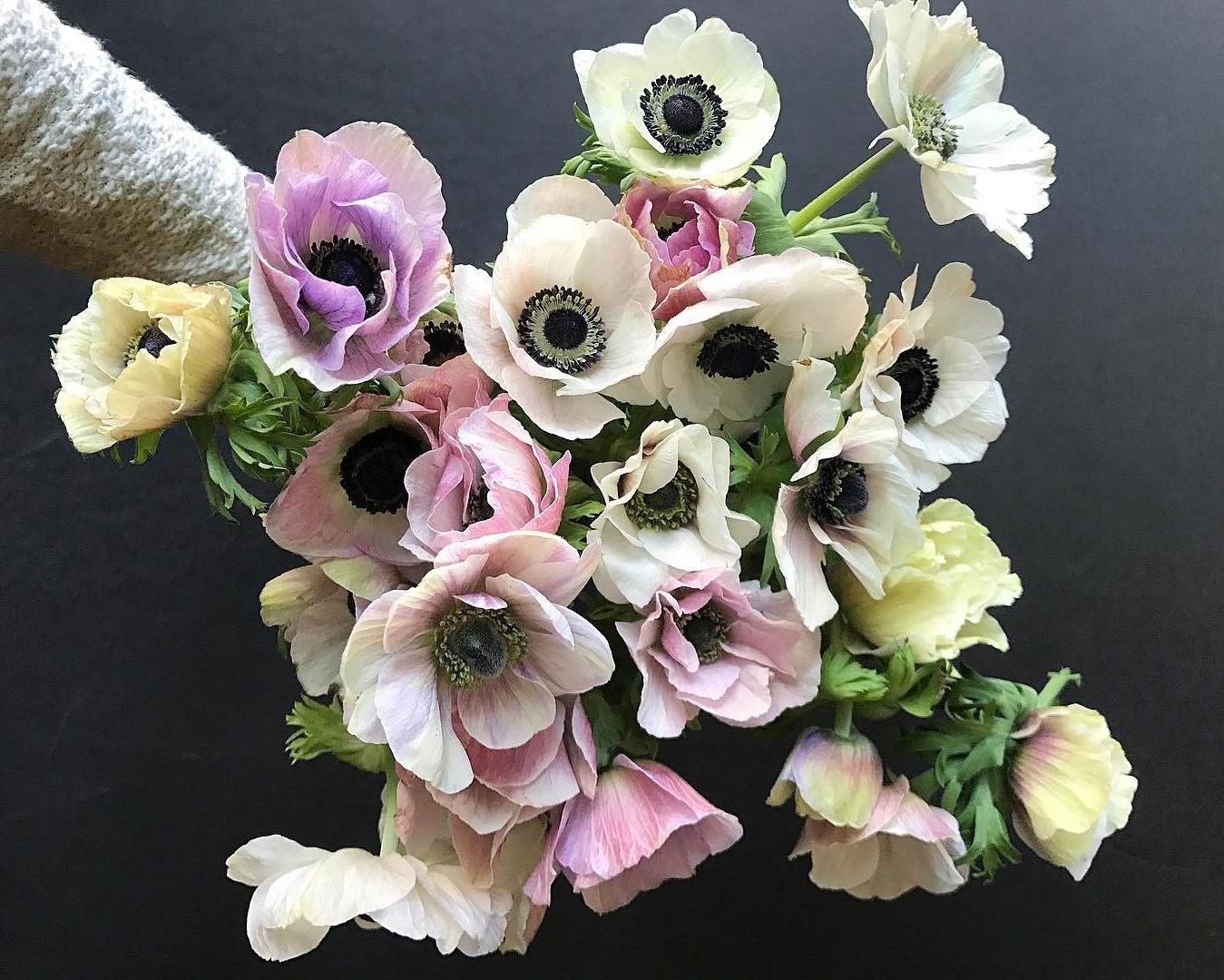 anemones, floral, spring, summer, flowers, seasonal, wedding, florist, guide, list